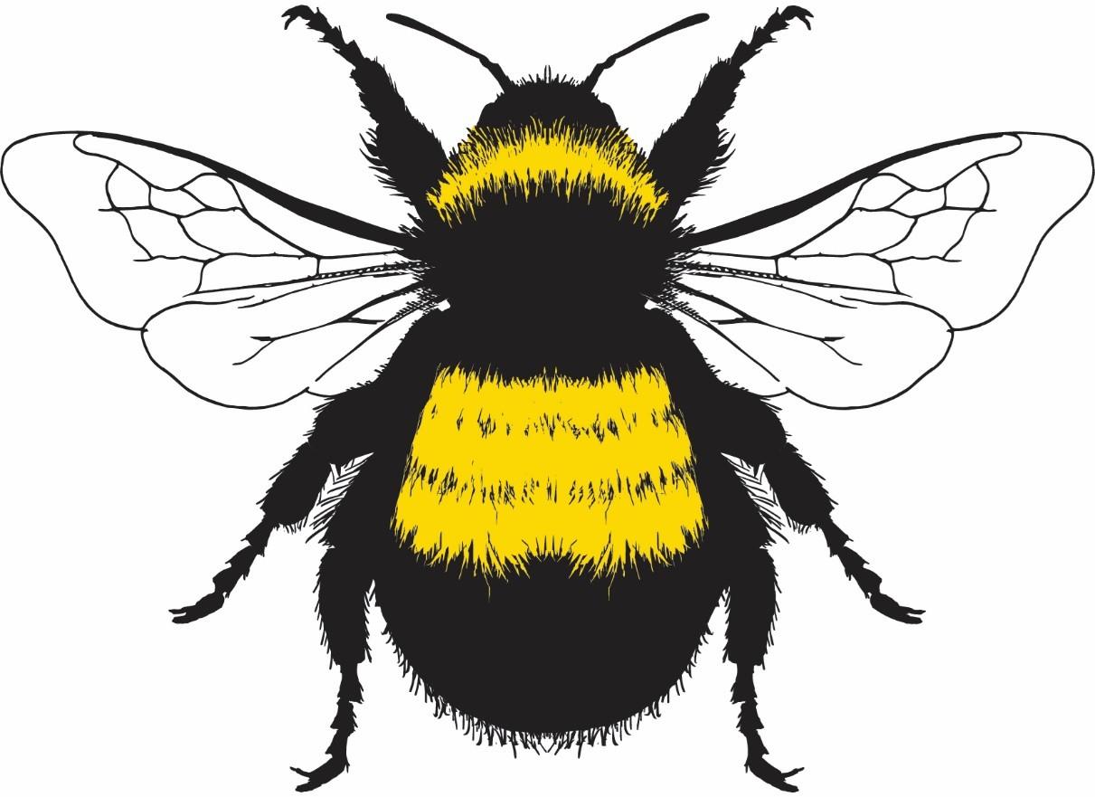Bee Campus USA